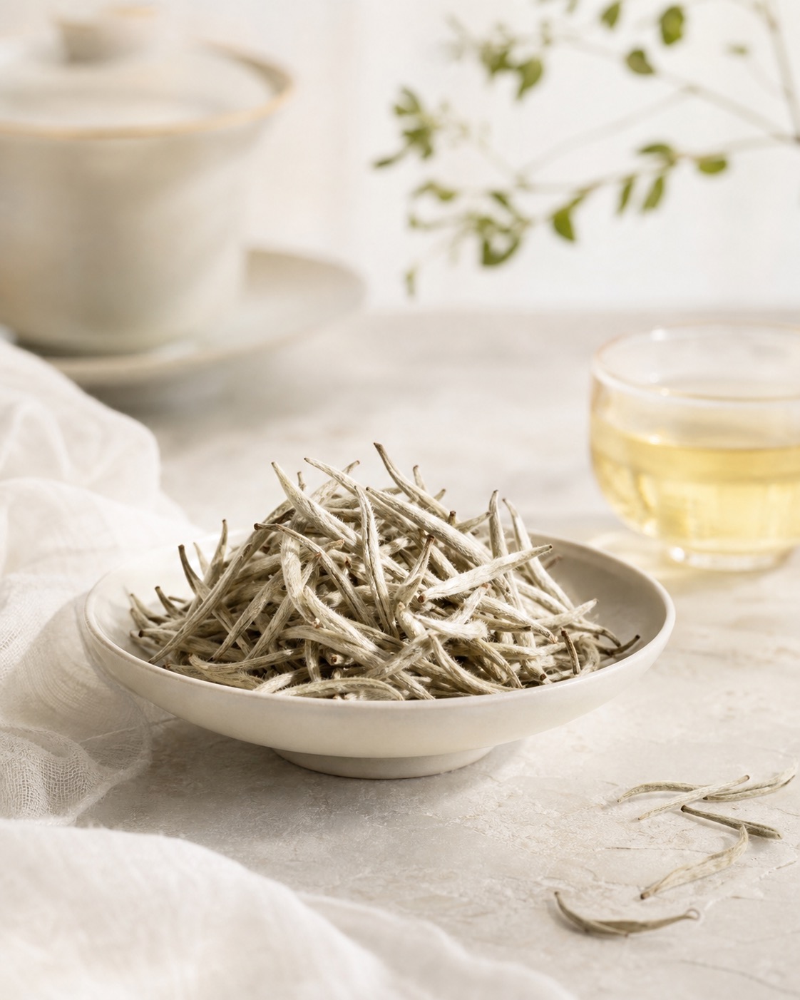 Silver Needle White Tea